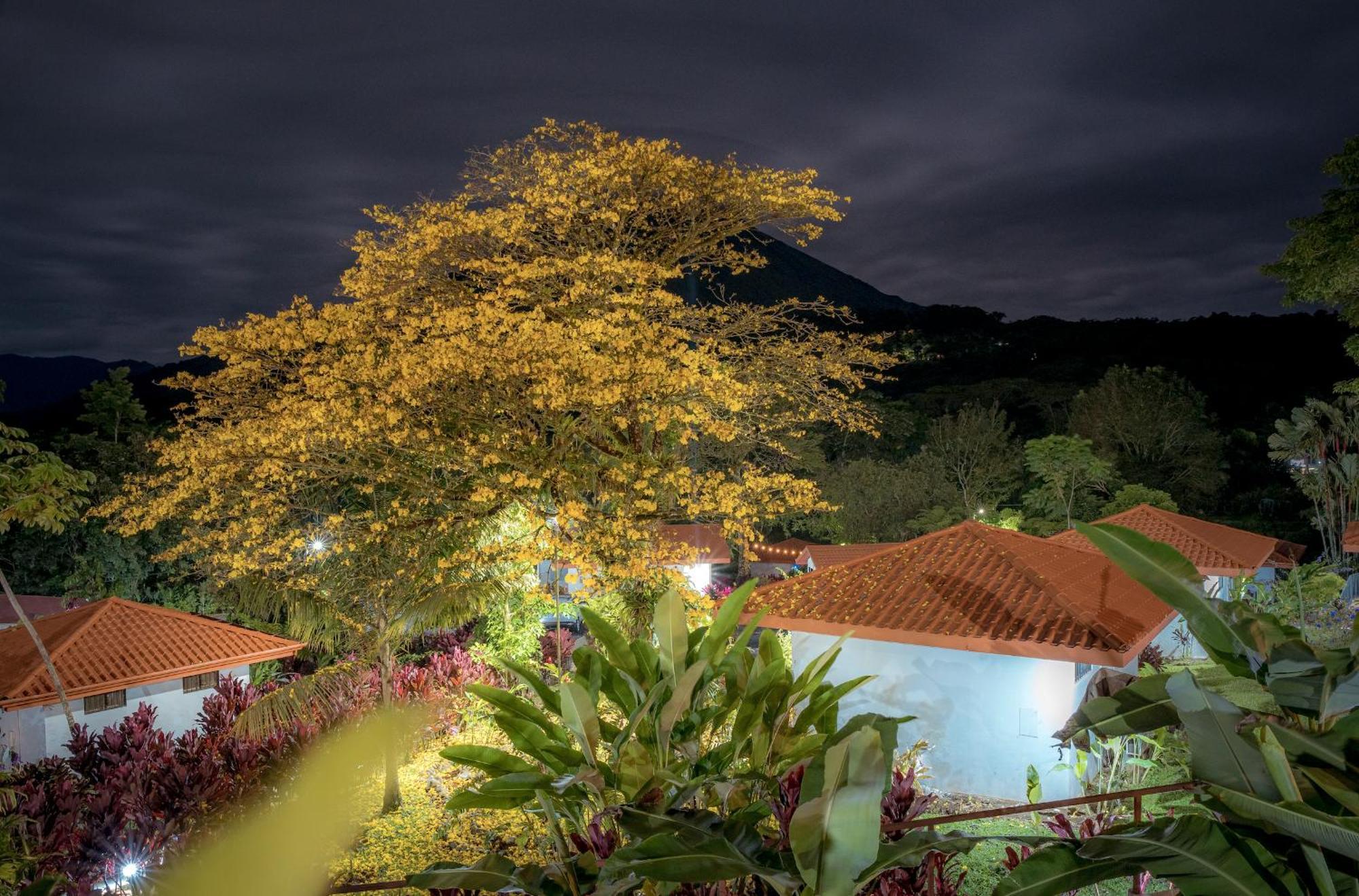 Miradas Arenal Hotel&Hotsprings La Fortuna Bagian luar foto